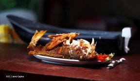 Conoce la variedad de destinos y riquezas de Bluefields