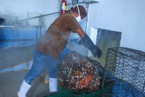 Conoce la variedad de destinos y riquezas de Bluefields