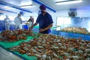 Conoce la variedad de destinos y riquezas de Bluefields