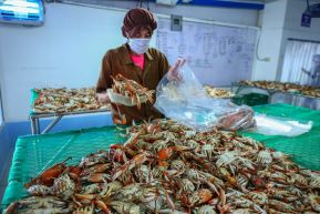 Conoce la variedad de destinos y riquezas de Bluefields