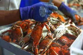 Conoce la variedad de destinos y riquezas de Bluefields