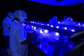 Conoce la variedad de destinos y riquezas de Bluefields