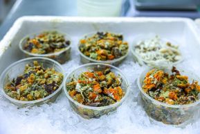 Conoce la variedad de destinos y riquezas de Bluefields