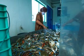 Conoce la variedad de destinos y riquezas de Bluefields