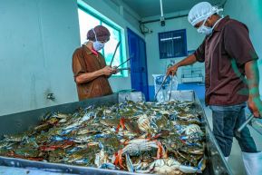 Conoce la variedad de destinos y riquezas de Bluefields