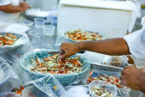 Conoce la variedad de destinos y riquezas de Bluefields