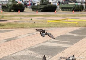 Exposición Estática del Ejército de Nicaragua