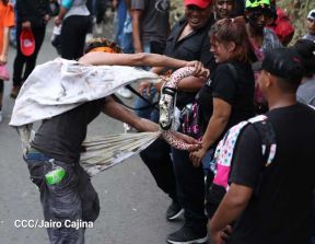 Fiestas de Santo Domingo de Guzmán: Colorido, Alegría, Vitalidad, Arte y Tradición