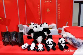 Festival Internacional de las Artes, Cultura y Gastronomía de Nuestros Pueblos