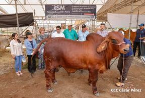 Primera Feria Ganadera Managua 2023