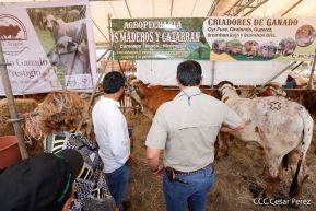 Primera Feria Ganadera Managua 2023