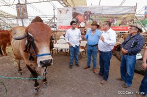 Primera Feria Ganadera Managua 2023