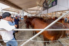 Primera Feria Ganadera Managua 2023
