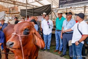 Primera Feria Ganadera Managua 2023