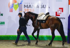 Primera Feria Ganadera Managua 2023