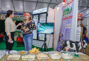 Primera Feria Ganadera Managua 2023