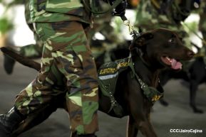 Desfile “Pueblo Ejército” en honor a los 44 años de su fundación del Ejército de Nicaragua