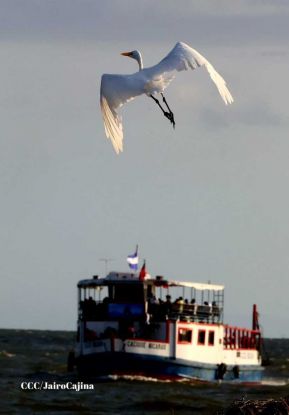 Conozca la nueva Escuela Hotel Volcán Maderas en la Isla de Ometepe