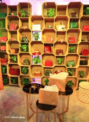 Nicaragua Diseña 2023: ¡Talento Vibrante e Identidad en Evolución Creativa!