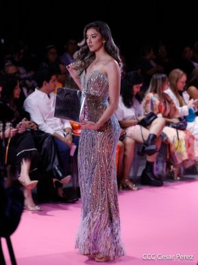 Nicaragua Diseña 2023: ¡Talento Vibrante e Identidad en Evolución Creativa!