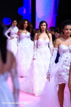 Segundo Día de Nicaragua Diseña 2023: Propuestas frescas, creativas, arriesgadas y novedosas