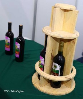 VI edición de Nicaragua Emprende 2023