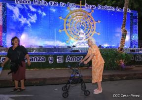 Conozca los altares en honor a la Purísima en la Avenida de Bolívar a Chávez
