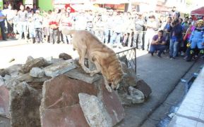 IV Ejercicio de Preparación para Protección de la Vida ante Multiamenazas