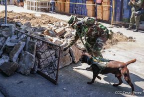 IV Ejercicio de Preparación para Protección de la Vida ante Multiamenazas