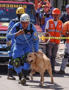 IV Ejercicio de Preparación para Protección de la Vida ante Multiamenazas