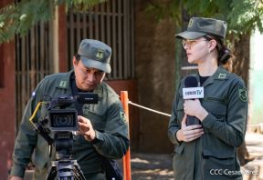 IV Ejercicio de Preparación para Protección de la Vida ante Multiamenazas