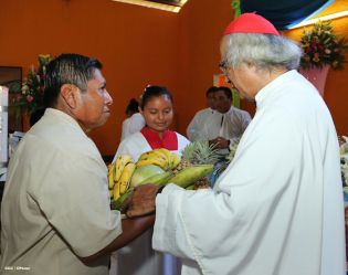 Cardenal Brenes oficia misa en honor a María Auxiliadora
