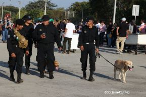 Concierto de Luis Miguel en el Estadio Nacional Soberanía de Managua