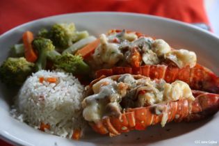 Intur realiza lanzamiento de Destinos con Sabor en Bluefields