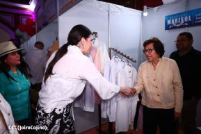 Primer Festival Internacional de las Guayaberas en Granada
