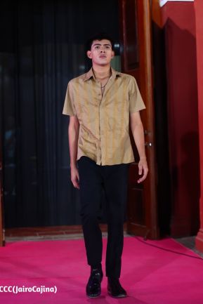 Primer Festival Internacional de las Guayaberas en Granada