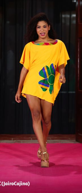 Primer Festival Internacional de las Guayaberas en Granada