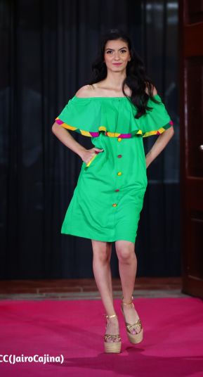 Primer Festival Internacional de las Guayaberas en Granada