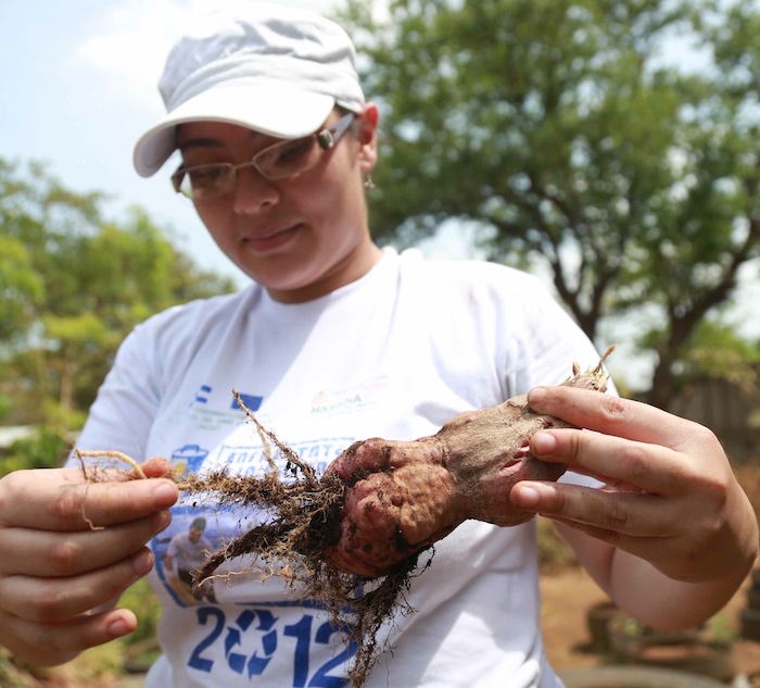 Jornada Vivir Bonito (27 y 28 Abril 2013)