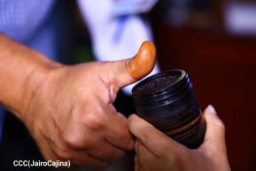 Así transcurren las Elecciones Victoriosas Caribe 2024