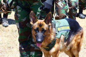 Acto de Clausura del Plan de Protección y Seguridad de la Cosecha Cafetalera 2023-2024