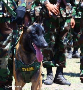 Acto de Clausura del Plan de Protección y Seguridad de la Cosecha Cafetalera 2023-2024