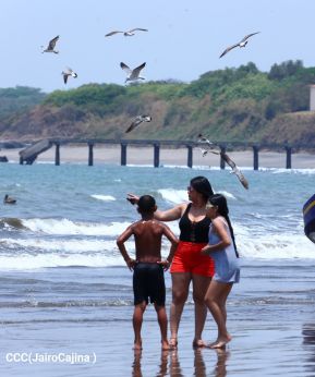 ¡Verano de  Amor 2024!