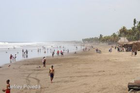 ¡Verano de  Amor 2024!