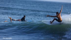 ¡Verano de  Amor 2024!