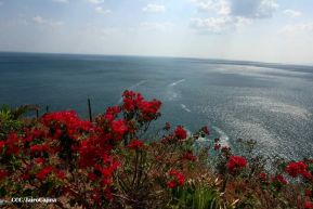 ¡Verano de  Amor 2024!