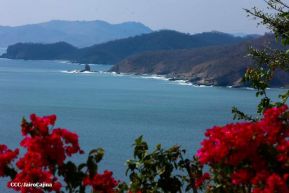 ¡Verano de  Amor 2024!