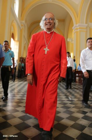 Granadinos se desbordan para recibir al Cardenal Brenes