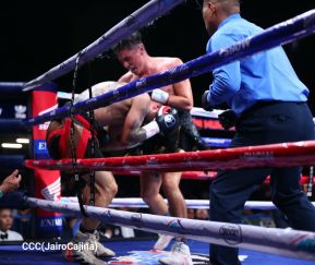 Velada de Boxeo Regreso a Casa en el Polideportivo Alexis Arguello