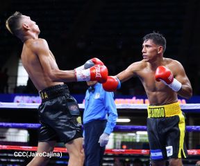 Velada de Boxeo Regreso a Casa en el Polideportivo Alexis Arguello